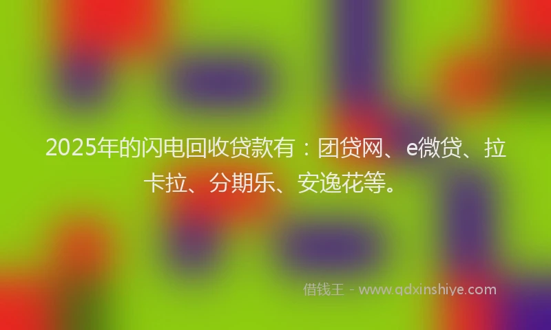2025年的闪电回收贷款有：团贷网、e微贷、拉卡拉、分期乐、安逸花等。