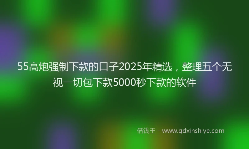 55高炮强制下款的口子2025年精选，整理五个无视一切包下款5000秒下款的软件