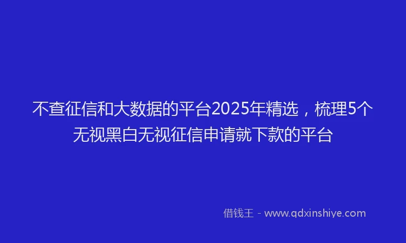 不查征信和大数据的平台2025年精选，梳理5个无视黑白无视征信申请就下款的平台