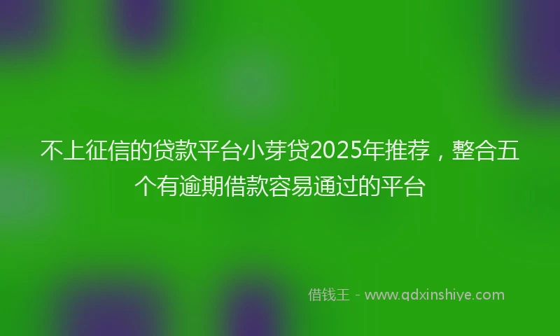 不上征信的贷款平台小芽贷2025年推荐，整合五个有逾期借款容易通过的平台