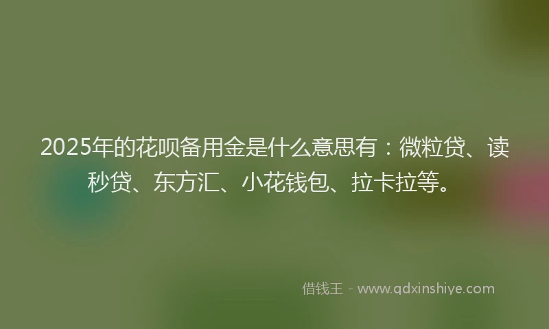 2025年的花呗备用金是什么意思有：微粒贷、读秒贷、东方汇、小花钱包、拉卡拉等。