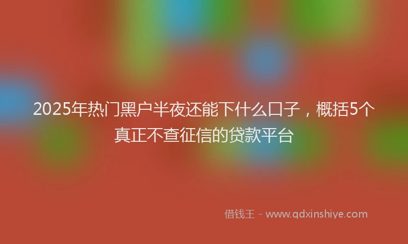2025年热门黑户半夜还能下什么口子，概括5个真正不查征信的贷款平台