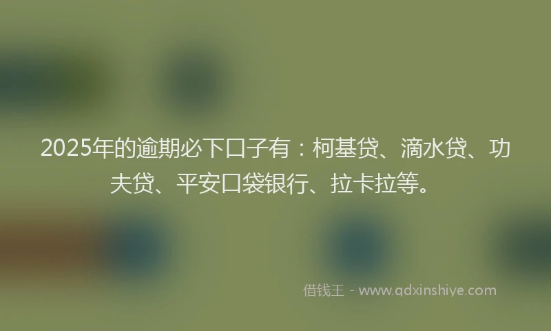 2025年的逾期必下口子有：柯基贷、滴水贷、功夫贷、平安口袋银行、拉卡拉等。