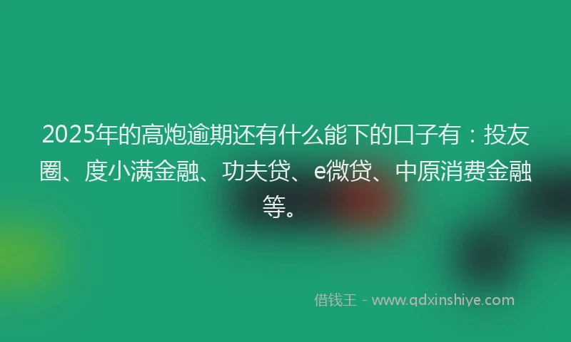 2025年的高炮逾期还有什么能下的口子有：投友圈、度小满金融、功夫贷、e微贷、中原消费金融等。