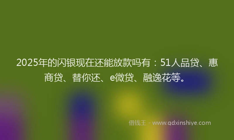 2025年的闪银现在还能放款吗有：51人品贷、惠商贷、替你还、e微贷、融逸花等。