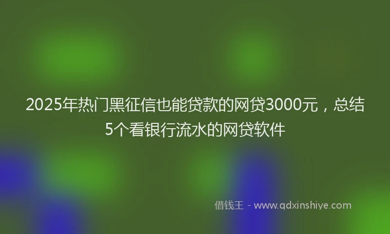 2025年热门黑征信也能贷款的网贷3000元，总结5个看银行流水的网贷软件
