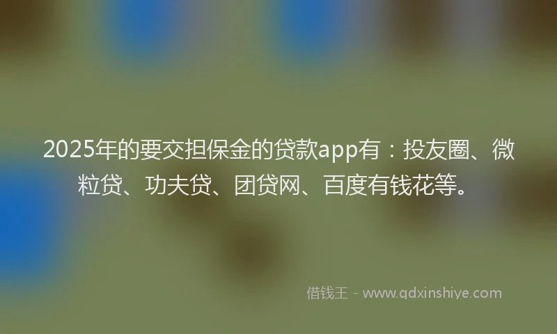2025年的要交担保金的贷款app有:投友圈、微粒贷、功夫贷、团贷网、百度有钱花等。