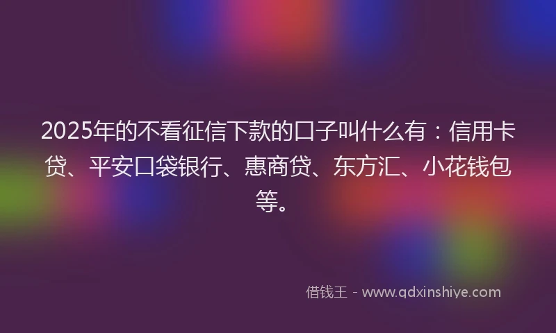 2025年的不看征信下款的口子叫什么有：信用卡贷、平安口袋银行、惠商贷、东方汇、小花钱包等。
