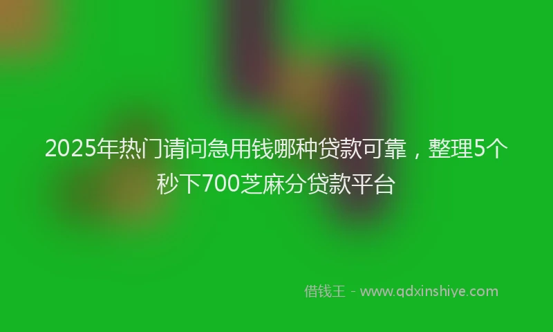 2025年热门请问急用钱哪种贷款可靠，整理5个秒下700芝麻分贷款平台