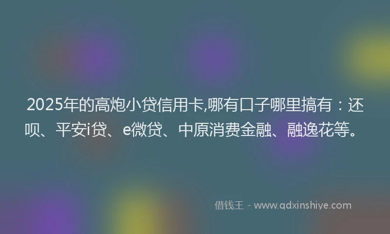 2025年的高炮小贷信用卡,哪有口子哪里搞有：还呗、平安i贷、e微贷、中原消费金融、融逸花等。