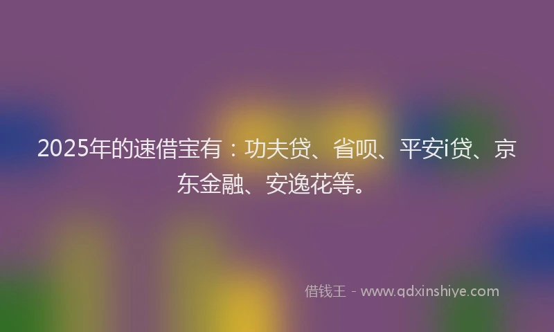 2025年的速借宝有：功夫贷、省呗、平安i贷、京东金融、安逸花等。