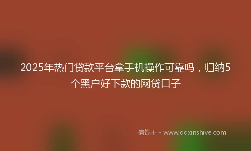 2025年热门贷款平台拿手机操作可靠吗，归纳5个黑户好下款的网贷口子