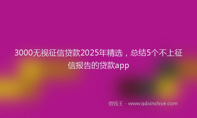 3000无视征信贷款2025年精选，总结5个不上征信报告的贷款app