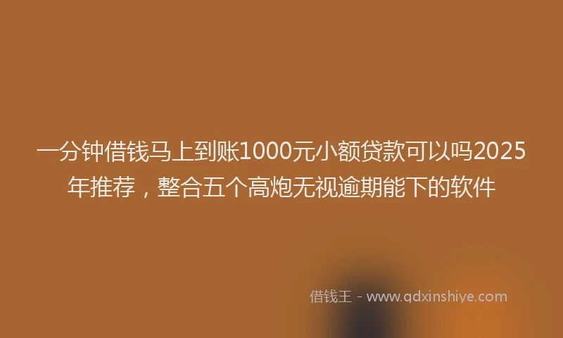 一分钟借钱马上到账1000元小额贷款可以吗2025年推荐，整合五个高炮无视逾期能下的软件