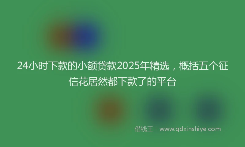 24小时下款的小额贷款2025年精选，概括五个征信花居然都下款了的平台