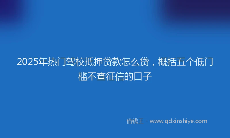 2025年热门驾校抵押贷款怎么贷，概括五个低门槛不查征信的口子