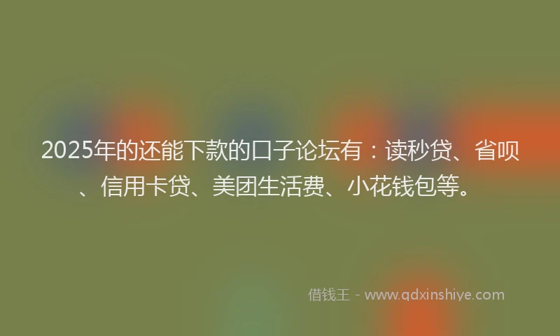 2025年的还能下款的口子论坛有：读秒贷、省呗、信用卡贷、美团生活费、小花钱包等。