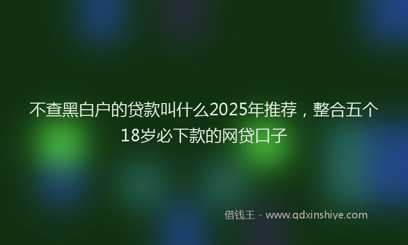不查黑白户的贷款叫什么2025年推荐，整合五个18岁必下款的网贷口子
