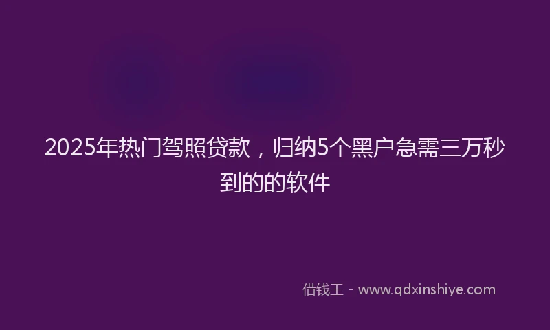 2025年热门驾照贷款，归纳5个黑户急需三万秒到的的软件