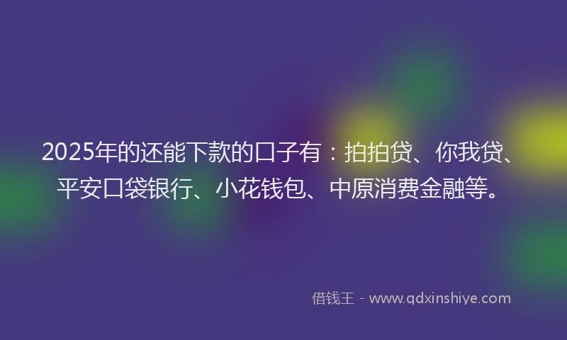 2025年的还能下款的口子有：拍拍贷、你我贷、平安口袋银行、小花钱包、中原消费金融等。