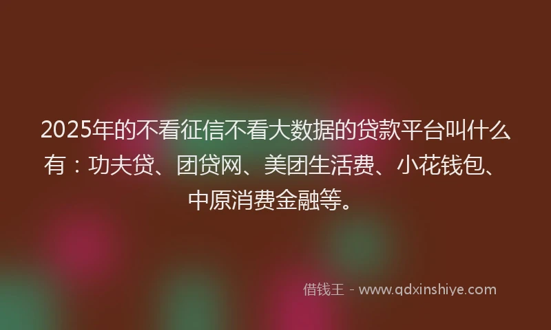 2025年的不看征信不看大数据的贷款平台叫什么有：功夫贷、团贷网、美团生活费、小花钱包、中原消费金融等。