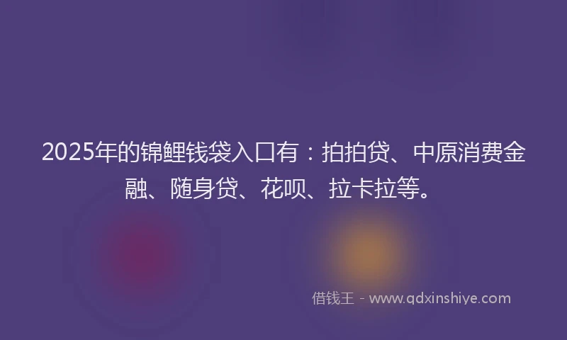 2025年的锦鲤钱袋入口有：拍拍贷、中原消费金融、随身贷、花呗、拉卡拉等。
