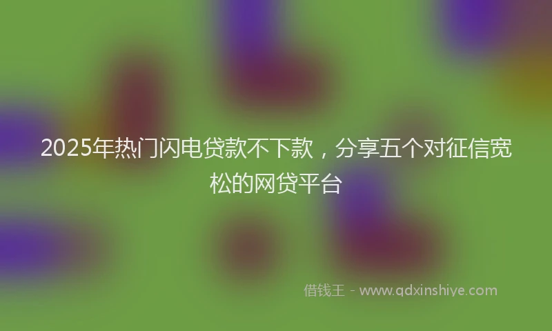 2025年热门闪电贷款不下款，分享五个对征信宽松的网贷平台