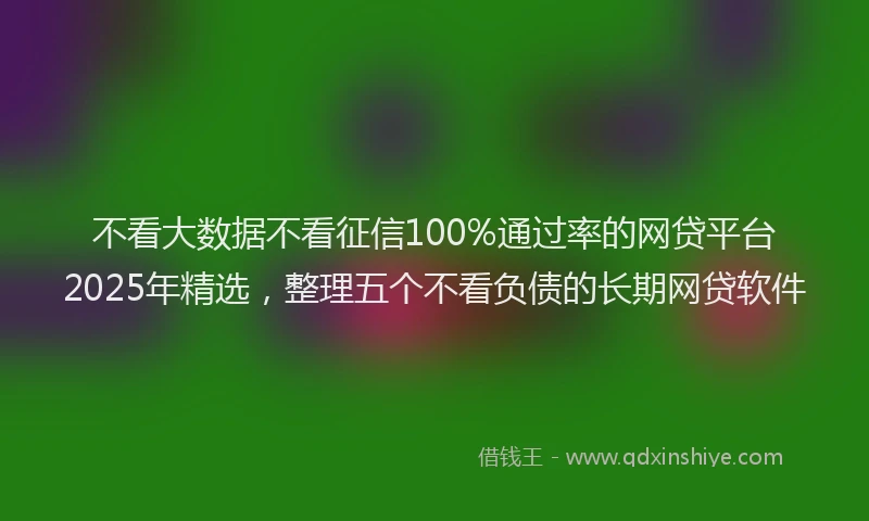 不看大数据不看征信100%通过率的网贷平台2025年精选，整理五个不看负债的长期网贷软件