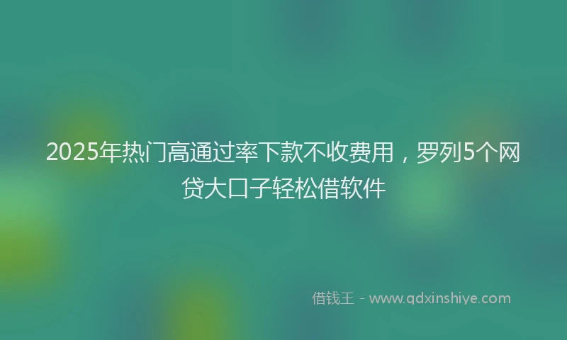 2025年热门高通过率下款不收费用，罗列5个网贷大口子轻松借软件