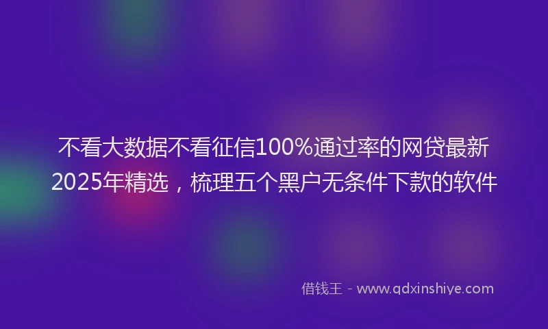 不看大数据不看征信100%通过率的网贷最新2025年精选，梳理五个黑户无条件下款的软件