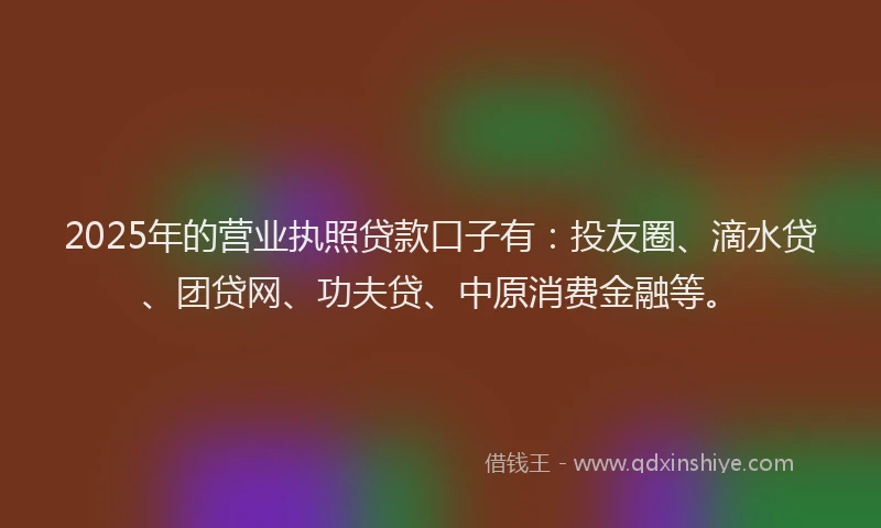 2025年的营业执照贷款口子有：投友圈、滴水贷、团贷网、功夫贷、中原消费金融等。
