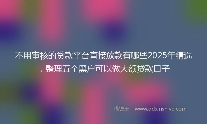 不用审核的贷款平台直接放款有哪些2025年精选，整理五个黑户可以做大额贷款口子