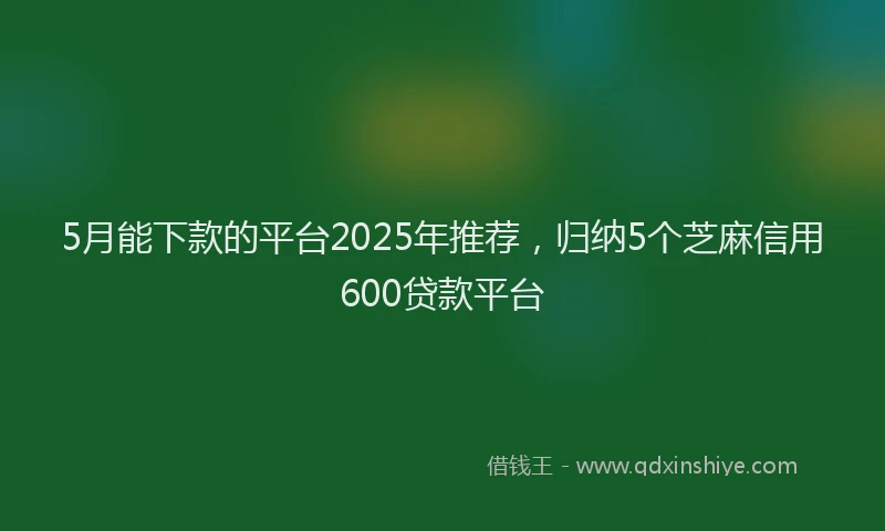 5月能下款的平台2025年推荐，归纳5个芝麻信用600贷款平台