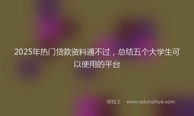 2025年热门贷款资料通不过，总结五个大学生可以使用的平台