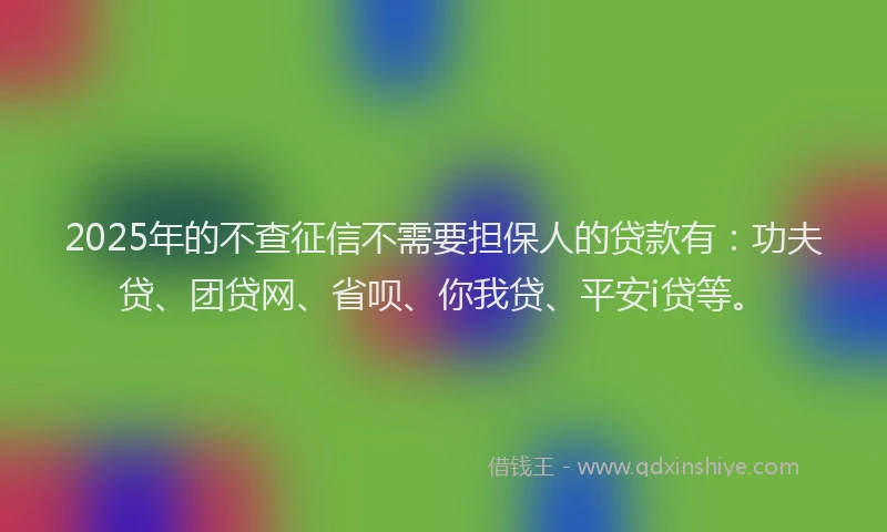 2025年的不查征信不需要担保人的贷款有：功夫贷、团贷网、省呗、你我贷、平安i贷等。