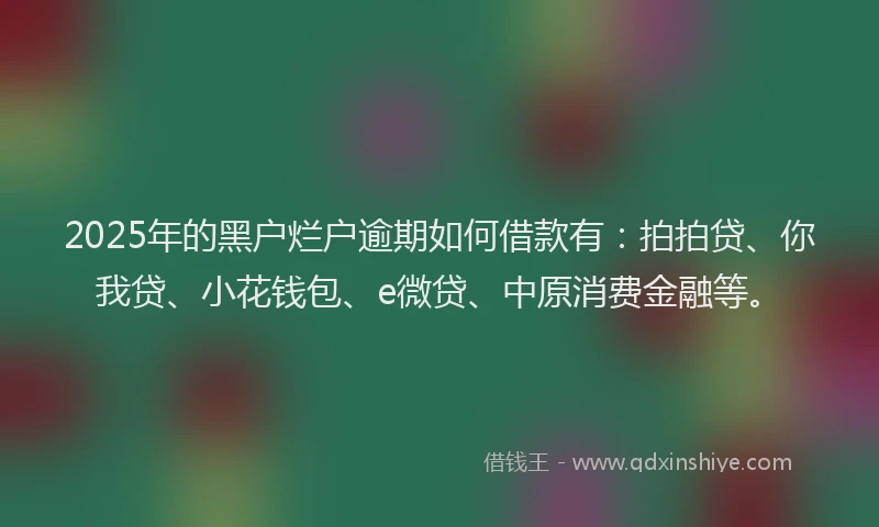 2025年的黑户烂户逾期如何借款有：拍拍贷、你我贷、小花钱包、e微贷、中原消费金融等。