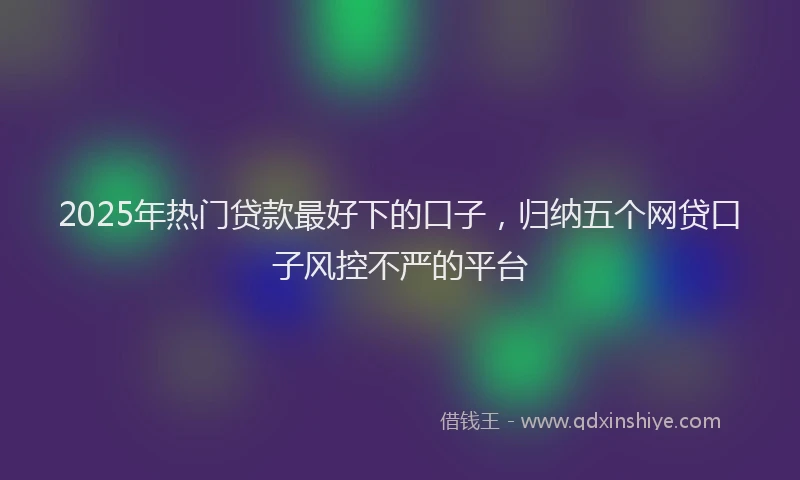 2025年热门贷款最好下的口子，归纳五个网贷口子风控不严的平台