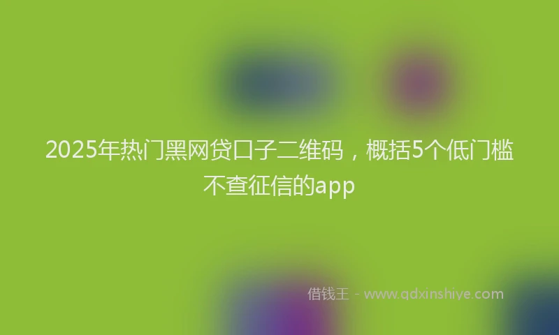 2025年热门黑网贷口子二维码，概括5个低门槛不查征信的app