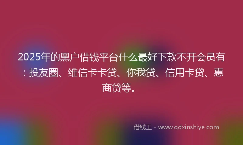 2025年的黑户借钱平台什么最好下款不开会员有：投友圈、维信卡卡贷、你我贷、信用卡贷、惠商贷等。