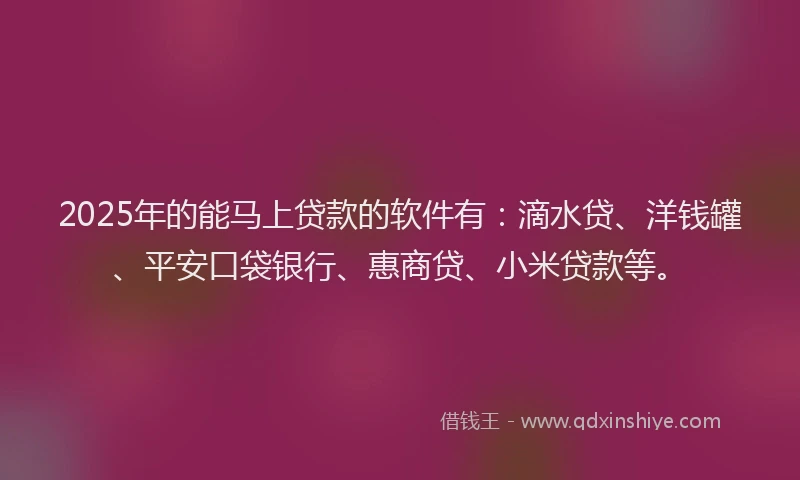 2025年的能马上贷款的软件有：滴水贷、洋钱罐、平安口袋银行、惠商贷、小米贷款等。