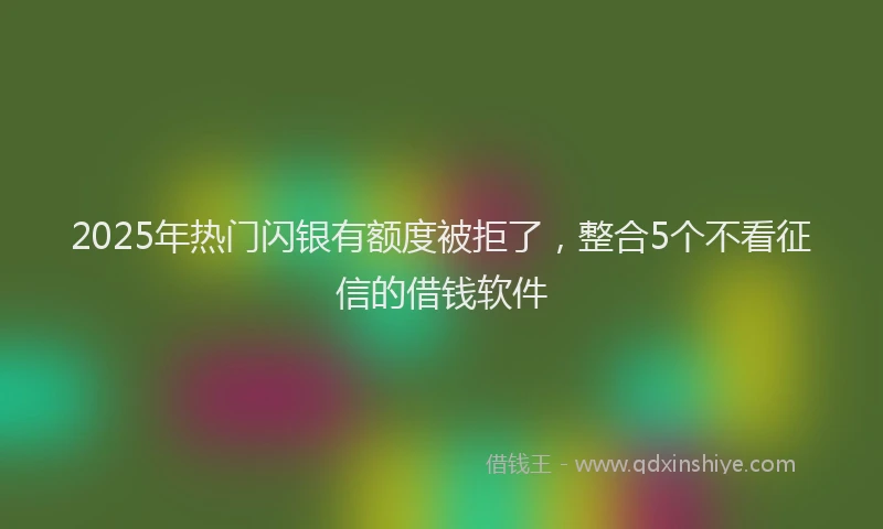 2025年热门闪银有额度被拒了，整合5个不看征信的借钱软件