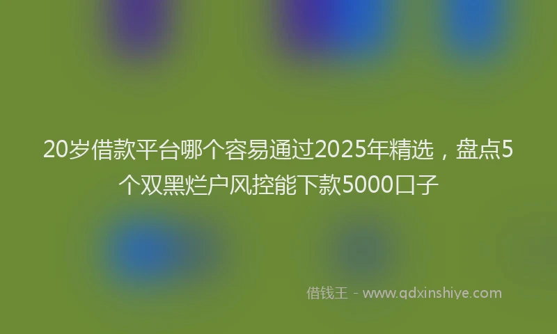 20岁借款平台哪个容易通过2025年精选，盘点5个双黑烂户风控能下款5000口子