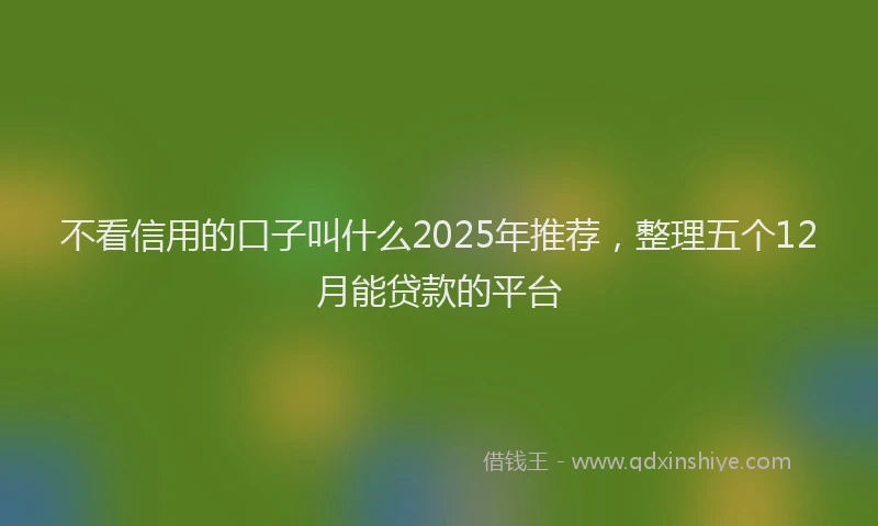 不看信用的口子叫什么2025年推荐，整理五个12月能贷款的平台