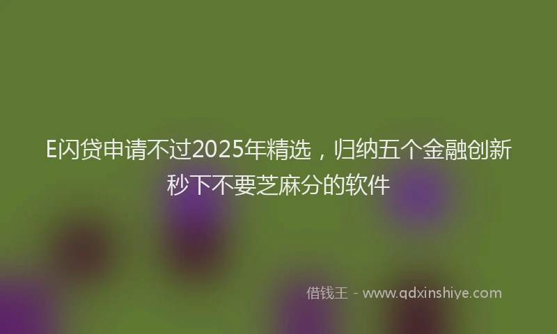 E闪贷申请不过2025年精选，归纳五个金融创新秒下不要芝麻分的软件