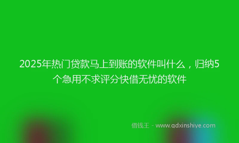 2025年热门贷款马上到账的软件叫什么，归纳5个急用不求评分快借无忧的软件