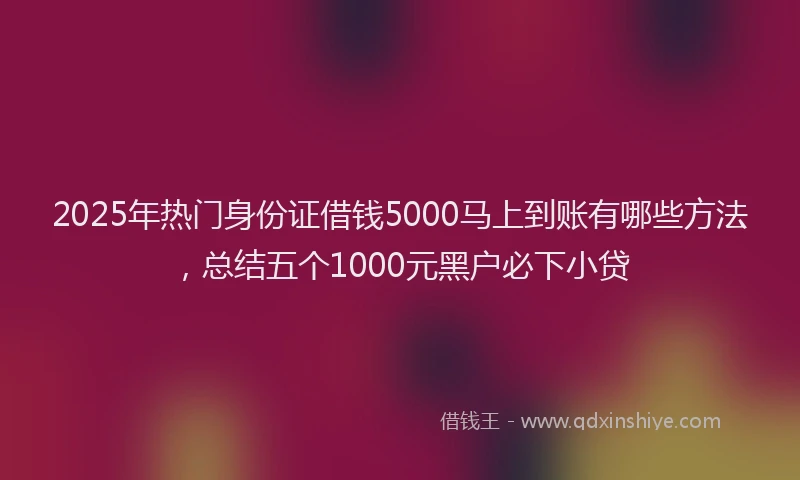2025年热门身份证借钱5000马上到账有哪些方法，总结五个1000元黑户必下小贷
