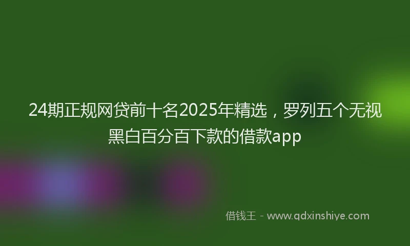 24期正规网贷前十名2025年精选，罗列五个无视黑白百分百下款的借款app