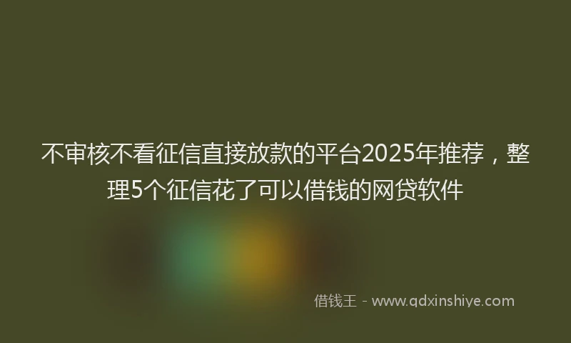 不审核不看征信直接放款的平台2025年推荐，整理5个征信花了可以借钱的网贷软件