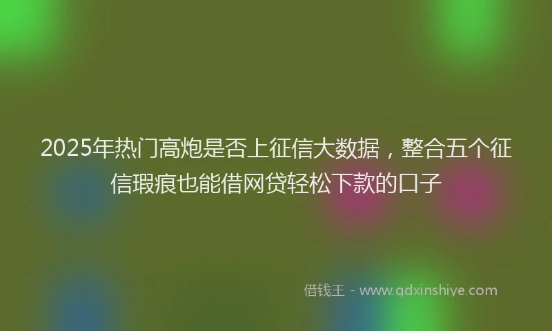 2025年热门高炮是否上征信大数据，整合五个征信瑕疵也能借网贷轻松下款的口子