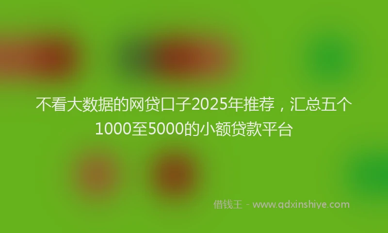 不看大数据的网贷口子2025年推荐，汇总五个1000至5000的小额贷款平台